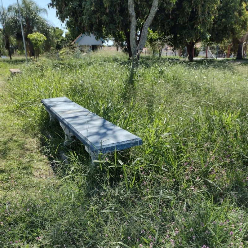 Detalhes Notícia