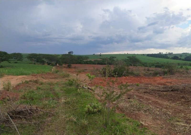 PM Ambiental multa homem por degradação