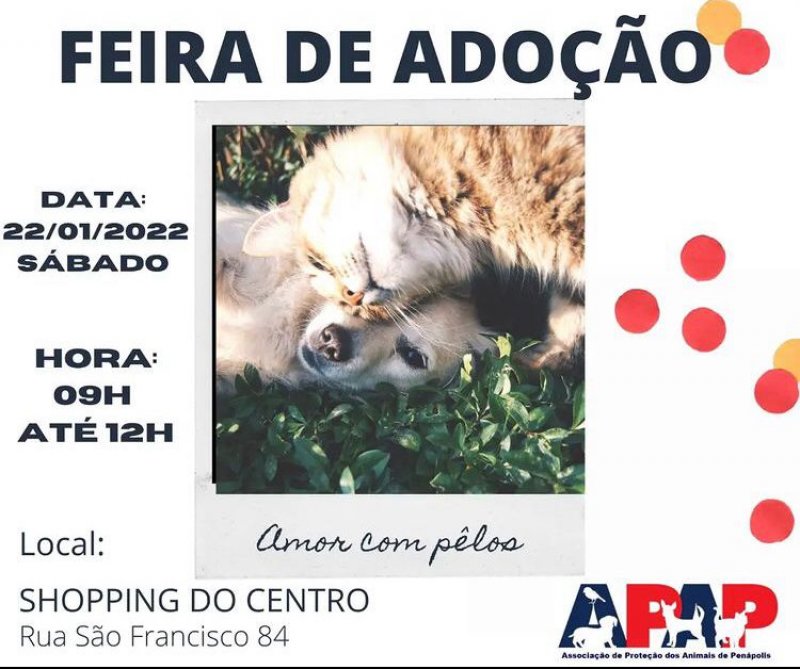 Feira de adoção de animais acontece neste sábado no Penápolis Shopping Center