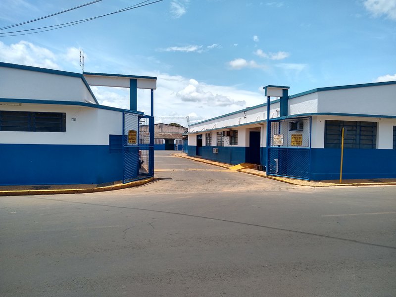 Vasos com maconha são encontrados no Almoxarifado Municipal de Penápolis