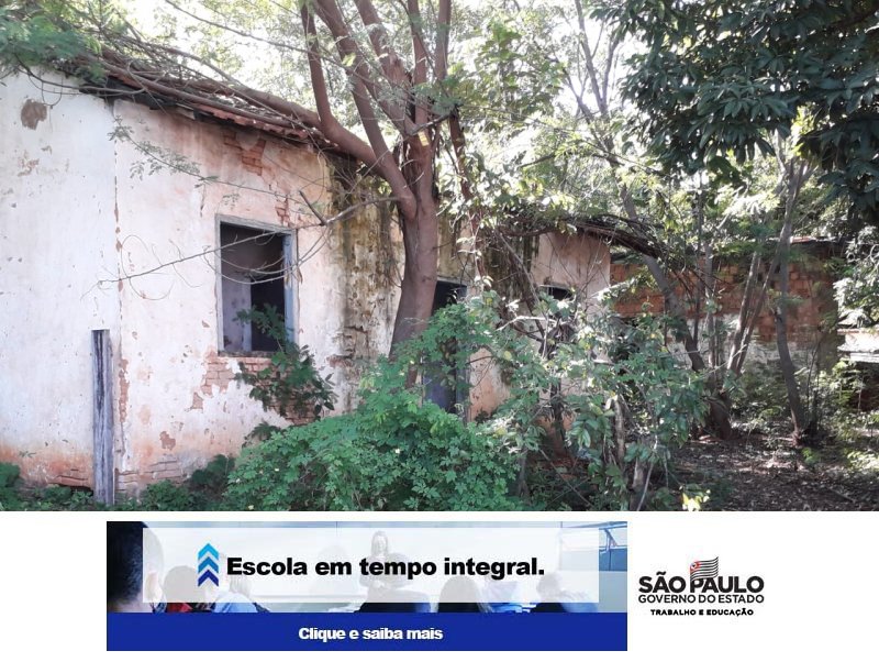 Detalhes Notícia
