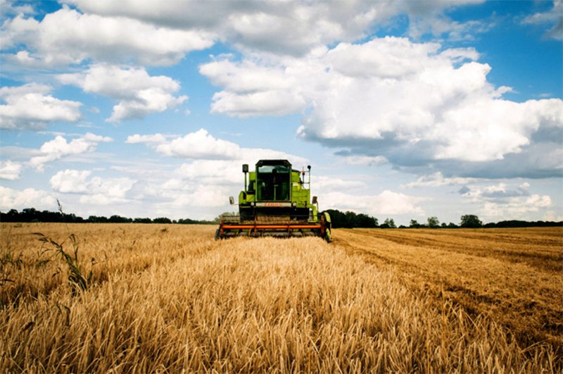 Crédito Rural em 2022: Qual caminho tomar?