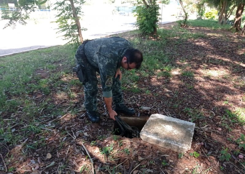 Polícia Militar Ambiental prende mecânico furtando fios em parque