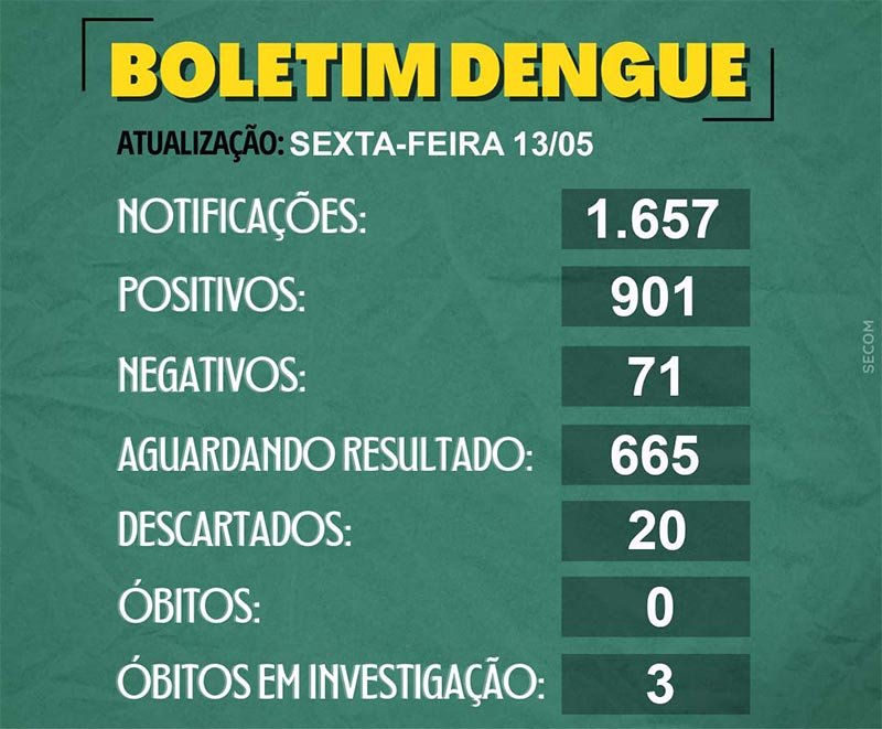 Penápolis: 108 casos positivos de dengue são registrados em 1 semana