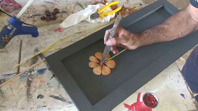 Detalhes Notícia