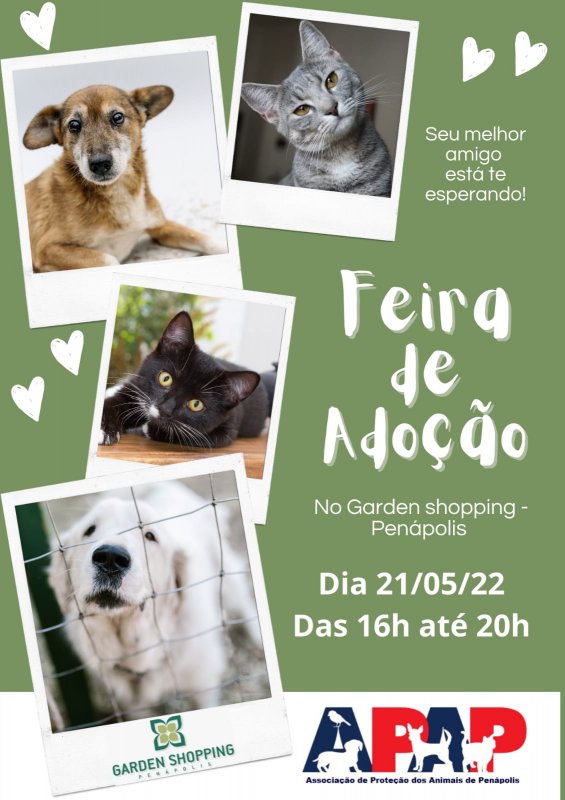 Sebo Cultural da APAP terá presença de animais para adoção neste sábado