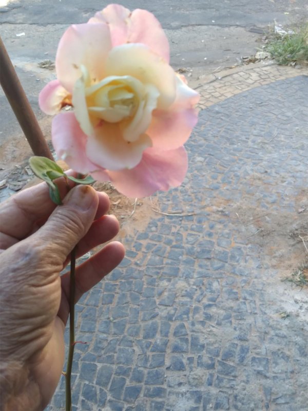 Carta do Leitor - Recordações