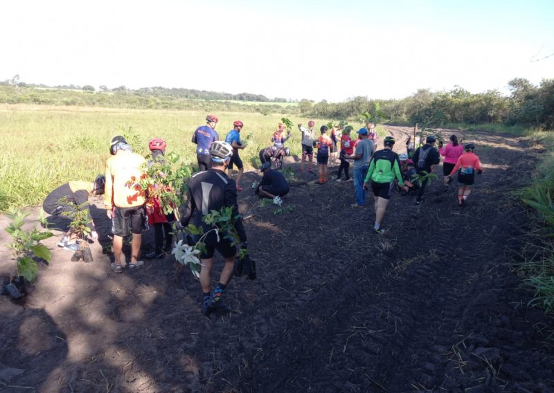 Ação ambiental promove plantio de árvores