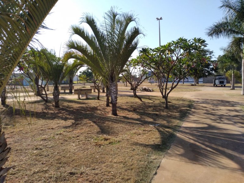Detalhes Notícia