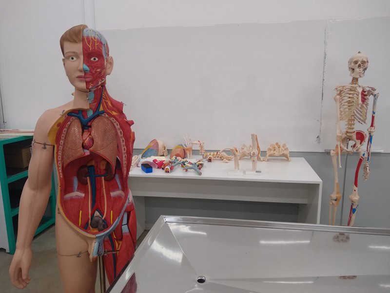 Medicina: Alunos da Funepe iniciam internato na Santa Casa de Jaú