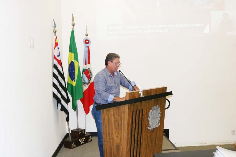 Penápolis: Câmara reclama poucas medidas em prol da causa animal