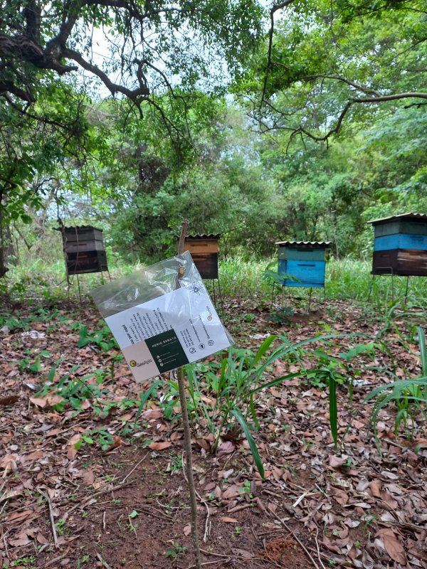 Avanhandava sedia workshop inédito de agricultura e apicultura