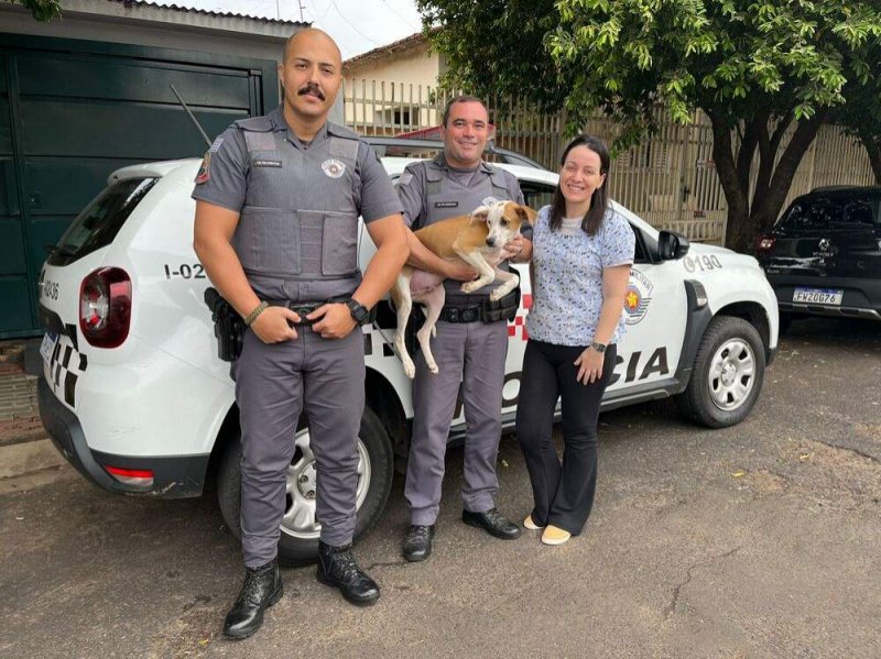 Homem é preso por maus-tratos a cão