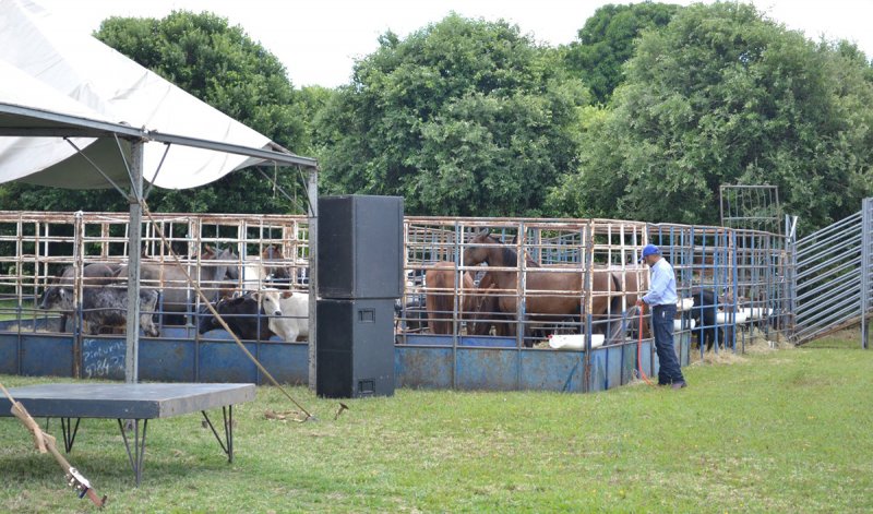 HE e Casa Abrigo: Almoço beneficia entidades amanhã em Penápolis