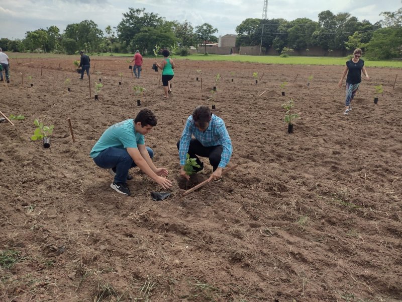 Agricultura realiza plantio de árvores no Córrego da Estiva