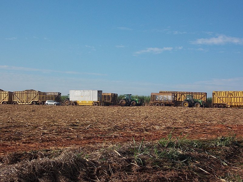 Outubro: Penápolis tem 1º mês com empregos negativos em 2022