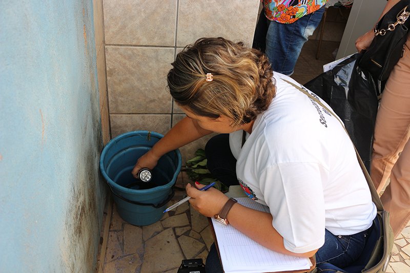 Combate à dengue: calor e chuva pedem mais cuidados com criadouros do Aedes aegypti