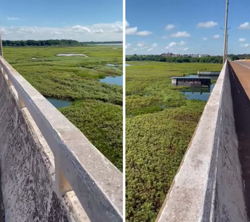 Região: vegetação toma conta do rio Tietê e dificulta a navegação