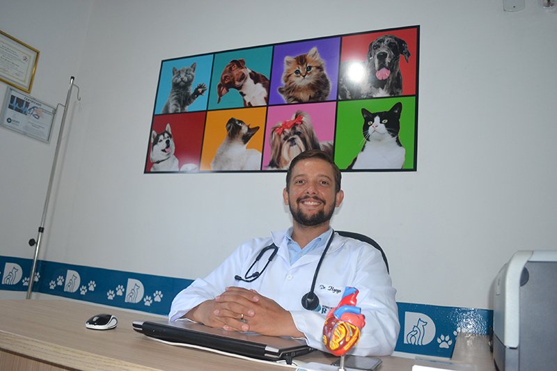 Dias de calor exigem mais cuidados com os pets