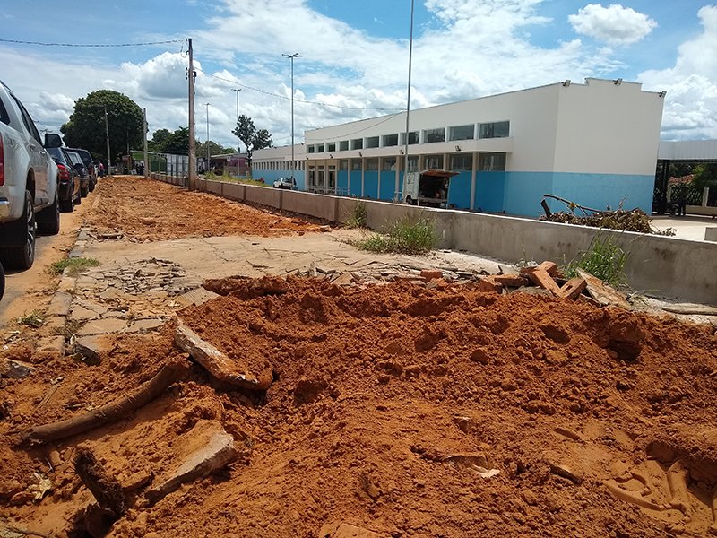 Árvores são erradicadas mas serão substituídas