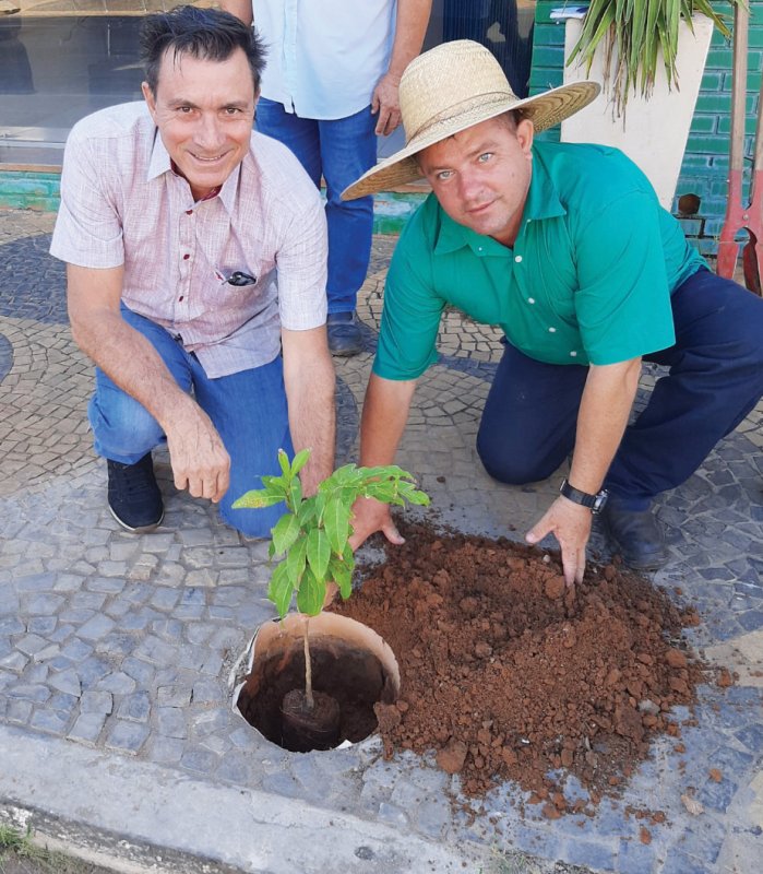 Daep realiza plantio de mudas do Programa Arborização Urbana em Área Comercial