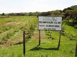 Meio Ambiente: Consórcio Ribeirão Lajeado vai plantar 25 mil mudas