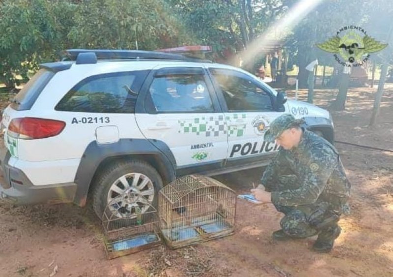 Morador de Avanhandava é autuado por manter aves em cativeiro