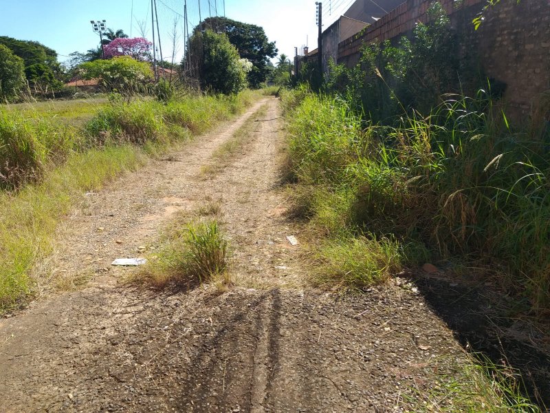 Detalhes Notícia