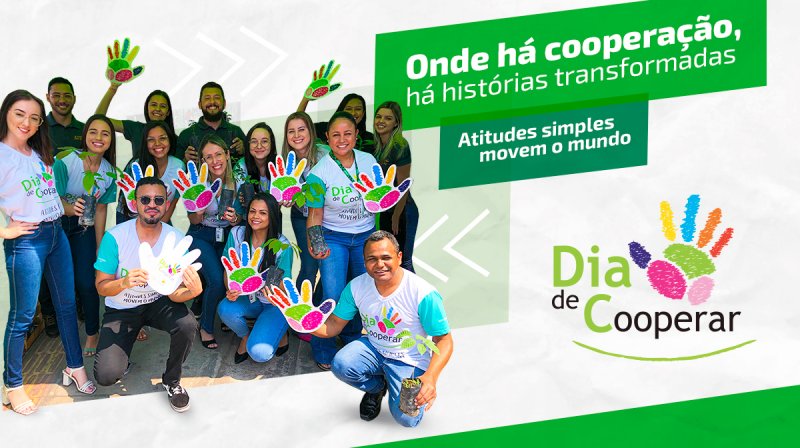 Voluntários do Sicredi se mobilizam no Dia de Cooperar; Penápolis participa da ação