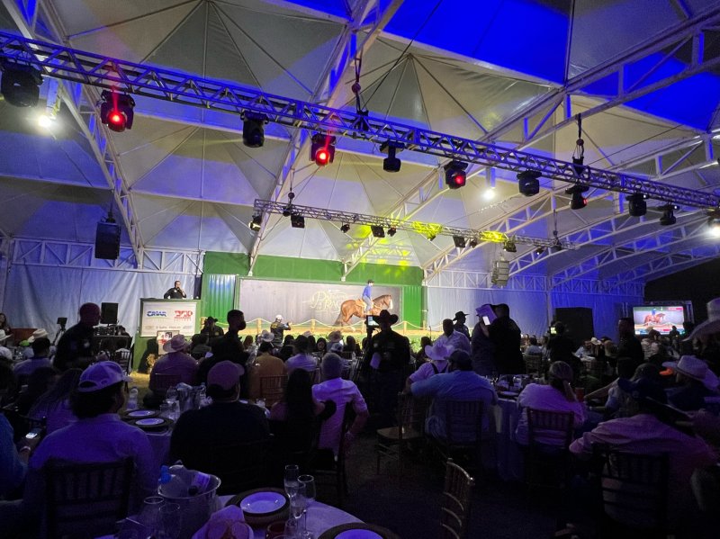 Leilão apoia projeto 