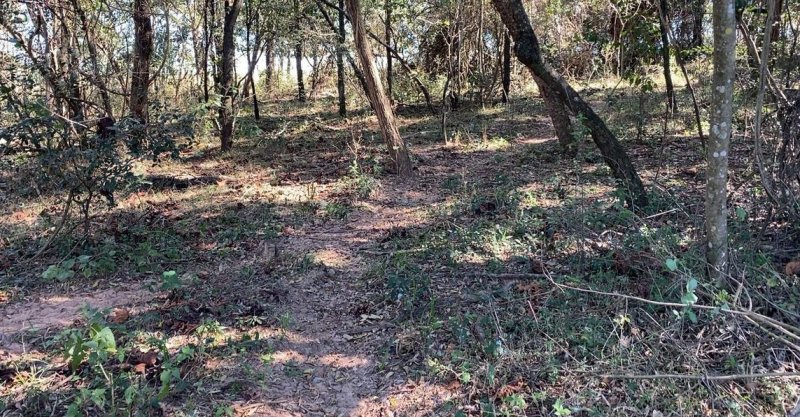 Proprietários rurais da região são autuados por danos ambientais