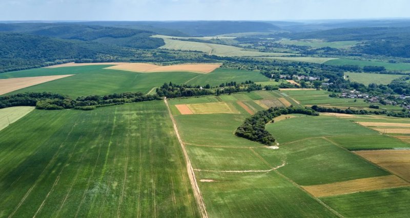 Produtores com o CAR analisado terão redução de 0,5% na taxa de juros de custeio