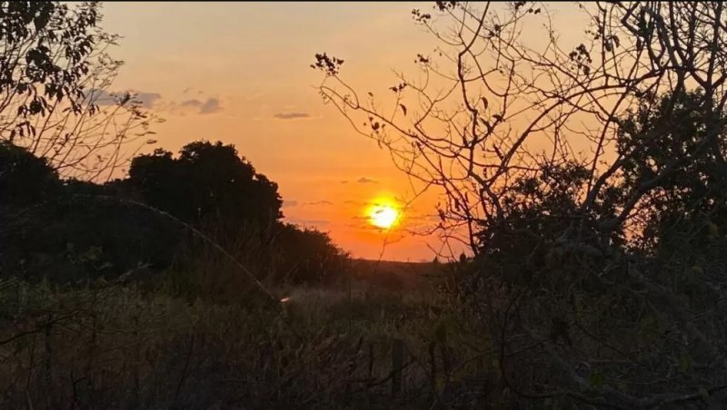 Saúde: ar seco motiva alerta da Defesa Civil no interior de SP