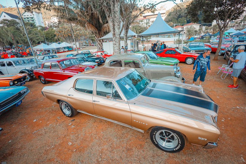 Leilão de Veículos Antigos e Especiais está com inscrições abertas para venda de automóveis