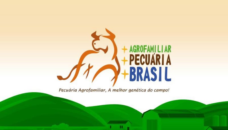 Ivan Sammarco quer programa 