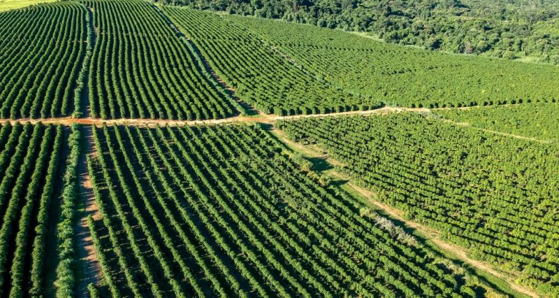 Regras para Declaração do Imposto sobre Propriedade Rural 2023 são divulgadas