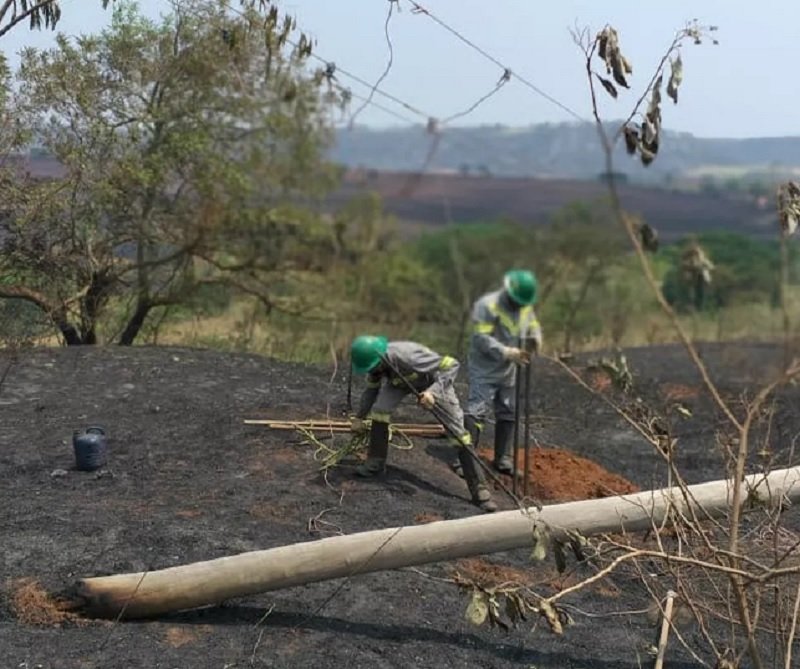 Graves Prejuízos: queimadas provocam duas interrupções de energia em Penápolis