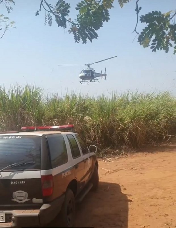 Mulher esfaqueada: Polícia prende acusado de tentativa de feminicídio em Penápolis