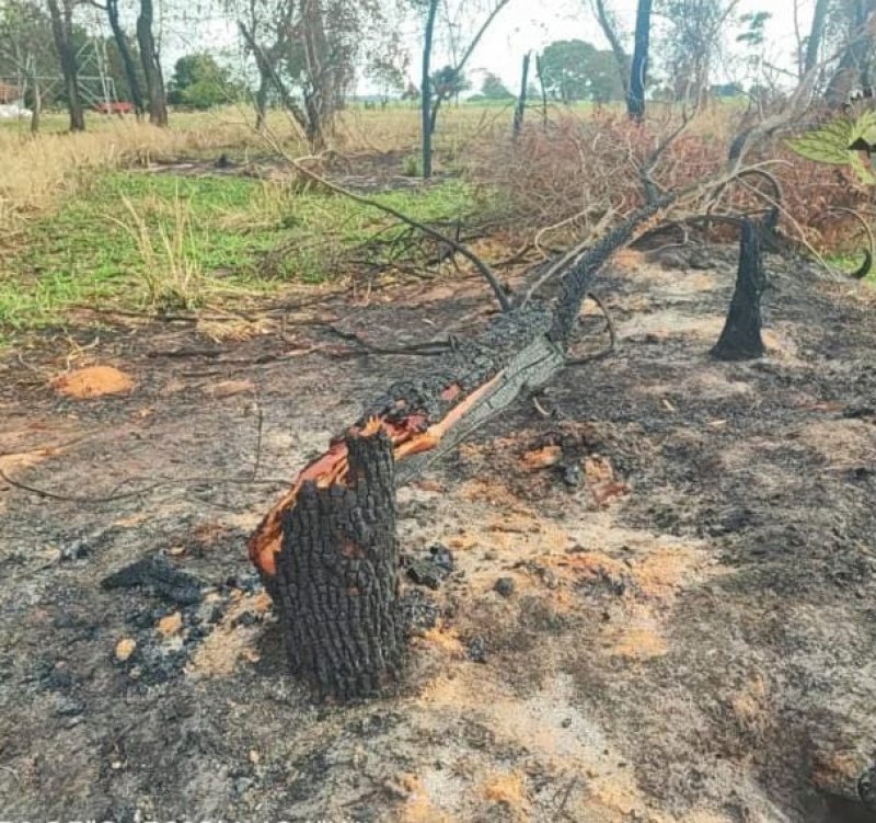 PM Ambiental multa proprietários rurais em mais de R$ 28 mil por degradação