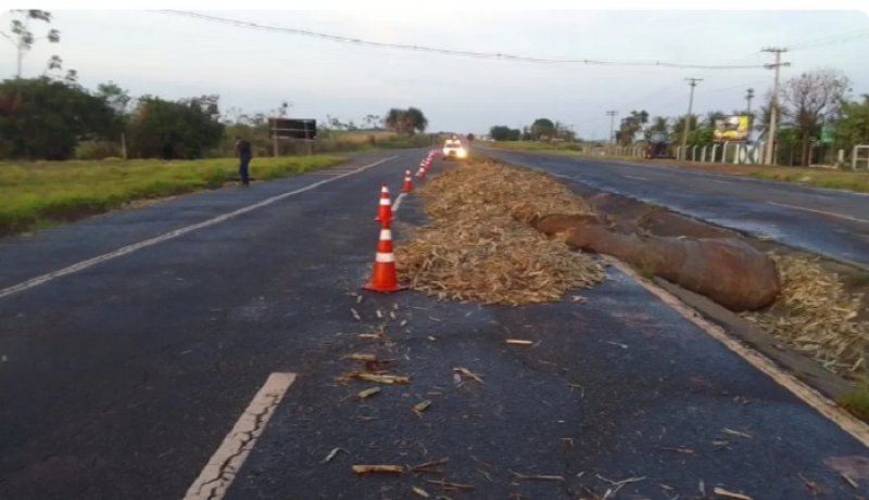 Carreta com cana-de-açúcar tomba e interdita rodovia