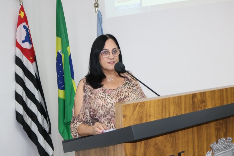 Câmara: aprovada instituição do 