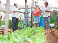 Horta comunitária do bairro Tropical produz o ano todo
