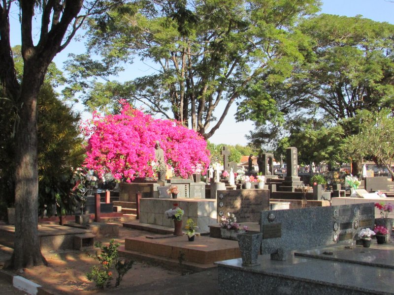 Finados: prazo para reformas de túmulos termina em outubro