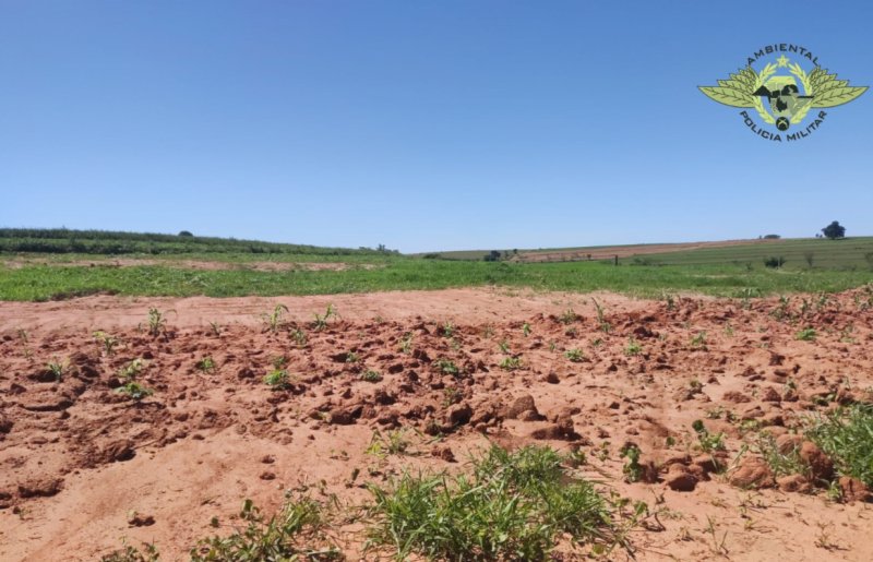 Proprietário rural é autuado por degradação ambiental em Luiziânia