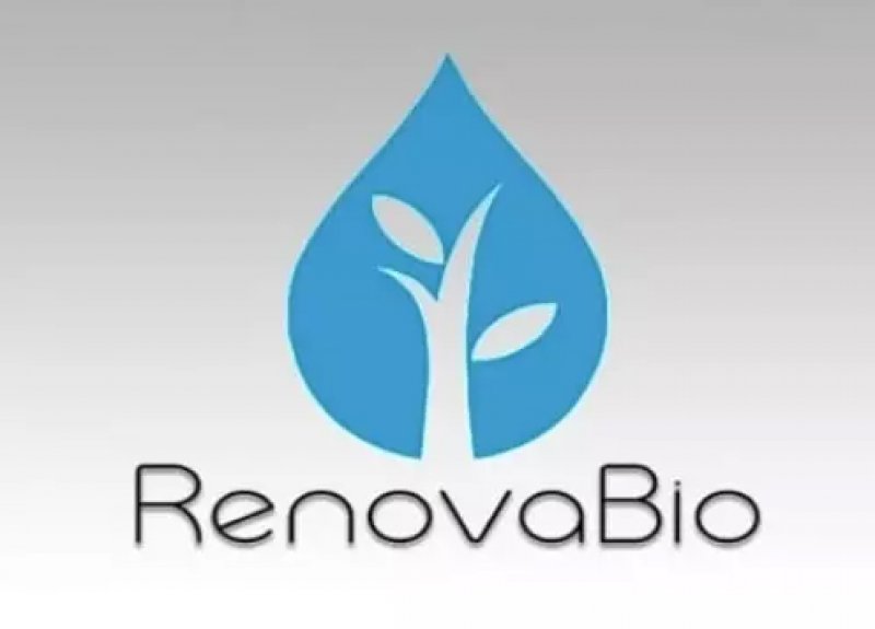 RenovaBio e cana-de-açúcar: Feplana convoca associações do setor canavieiro para votação do PL do CBios