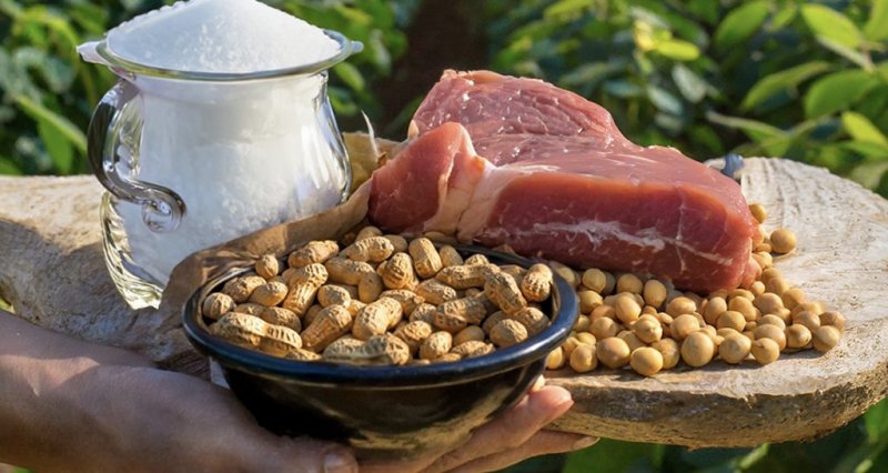 FAESP: açúcar, soja, carne bovina e amendoim se destacaram nas exportações paulistas em novembro