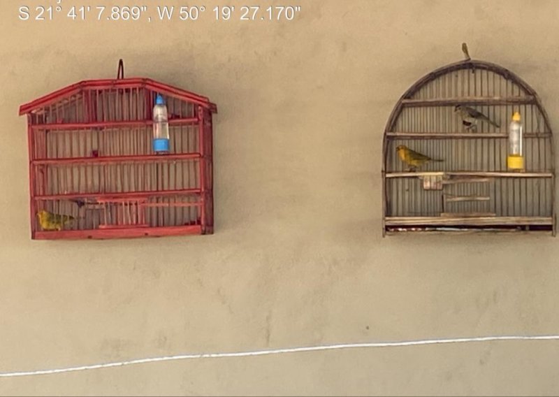 Morador de Luiziânia é autuado por manter pássaros em cativeiro