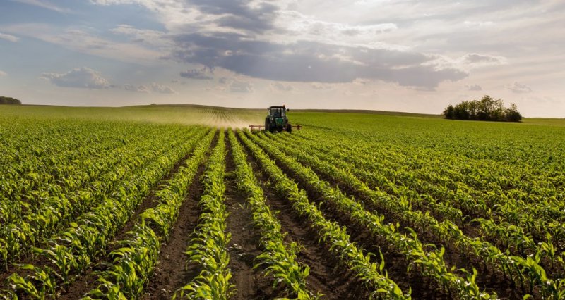 FAESP se posiciona sobre o aumento de tributação anunciada pelo Governo Federal