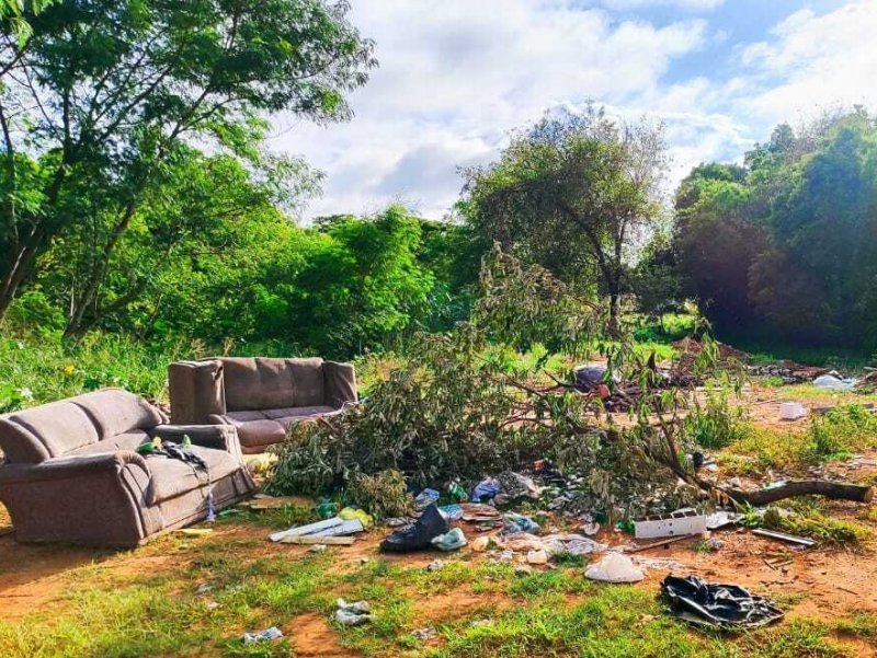 Lixo: descarte incorreto gera danos ambientais e prejuízos