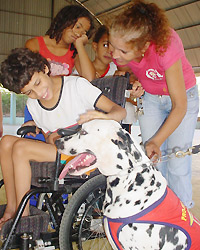 Convivência: Projeto faz interação de crianças com cães adestrados